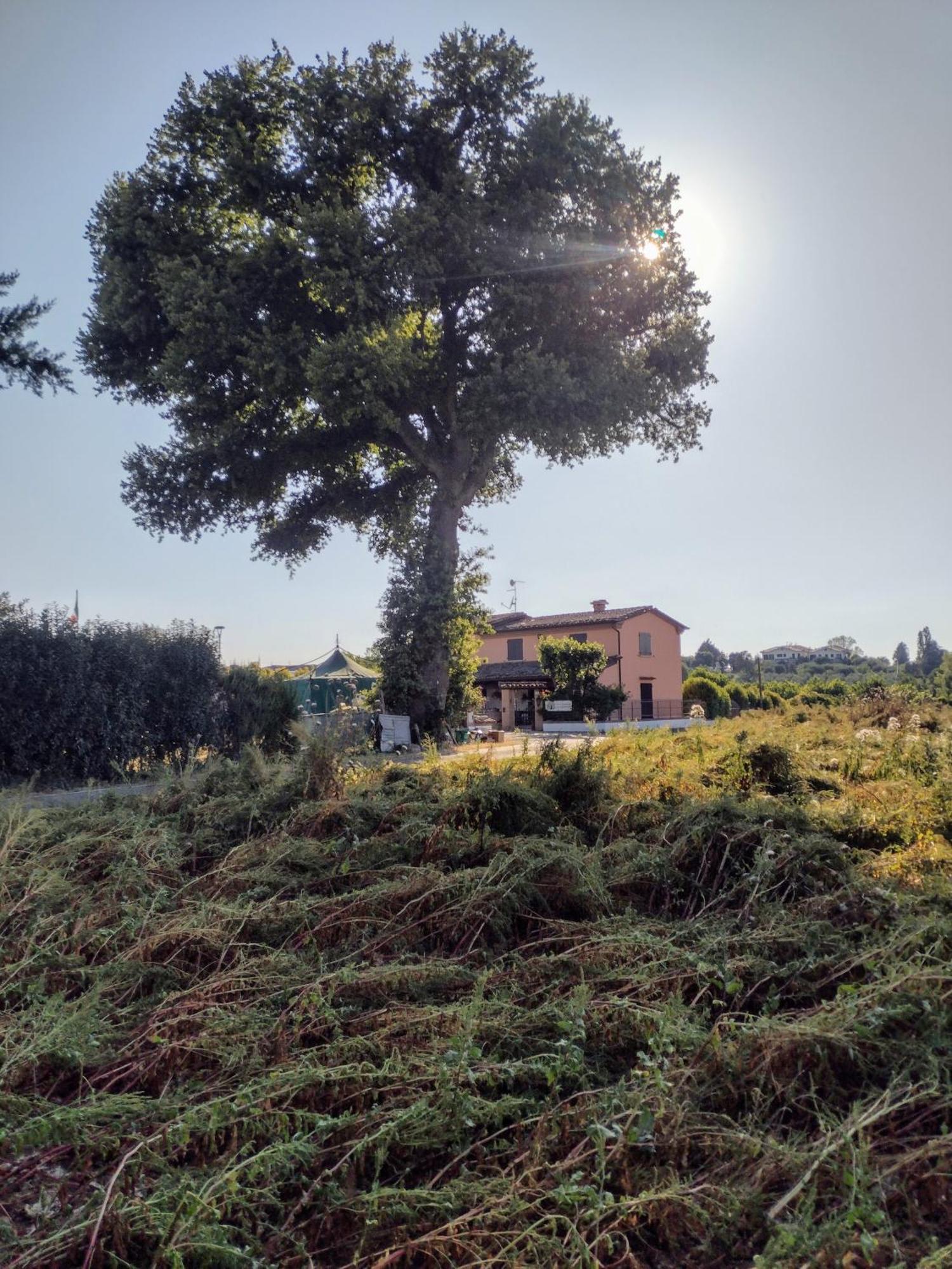 Country Rooms & Suite La Quercia Coriano Luaran gambar